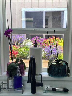 Una ventana con vista a un jardín, una toalla blanca y varios objetos de baño en un estante.