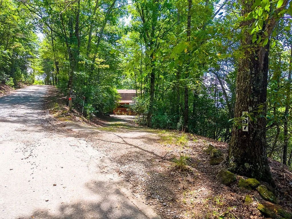 A forested road leading to a building with a visible signpost.