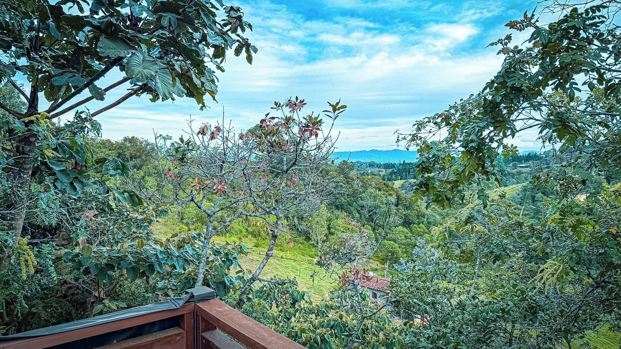 A lush landscape with a wooden deck overlooking a valley.