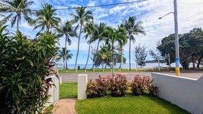 A coastal view with palm trees, a grassy area, and a paved path leading to the beach. - Beautifully renovated pet friendly home in tropical gardens with stunning beachfront views (Horseshoe Bay)
