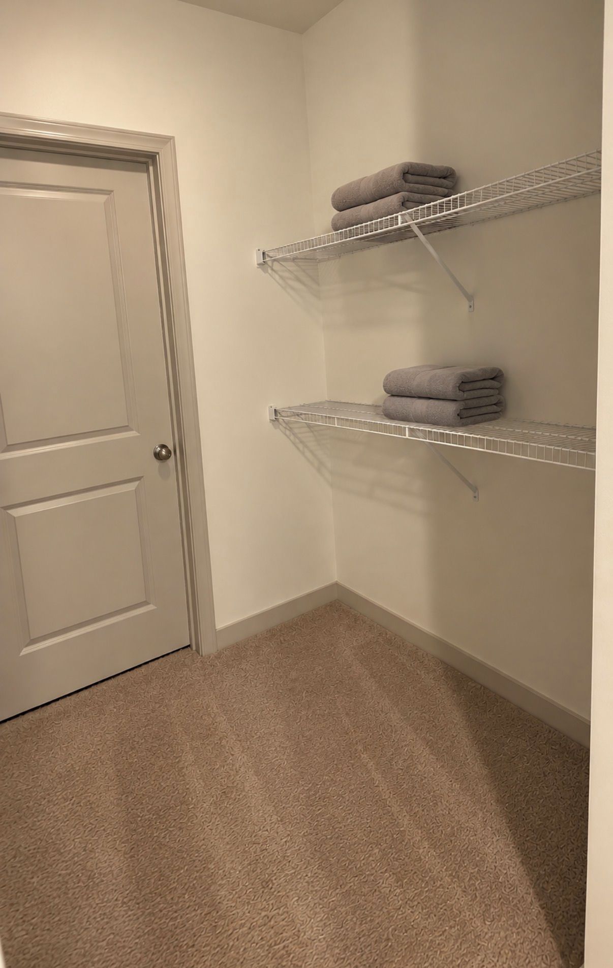 A room with a closed door, two metal shelves against the wall, and a carpeted floor.