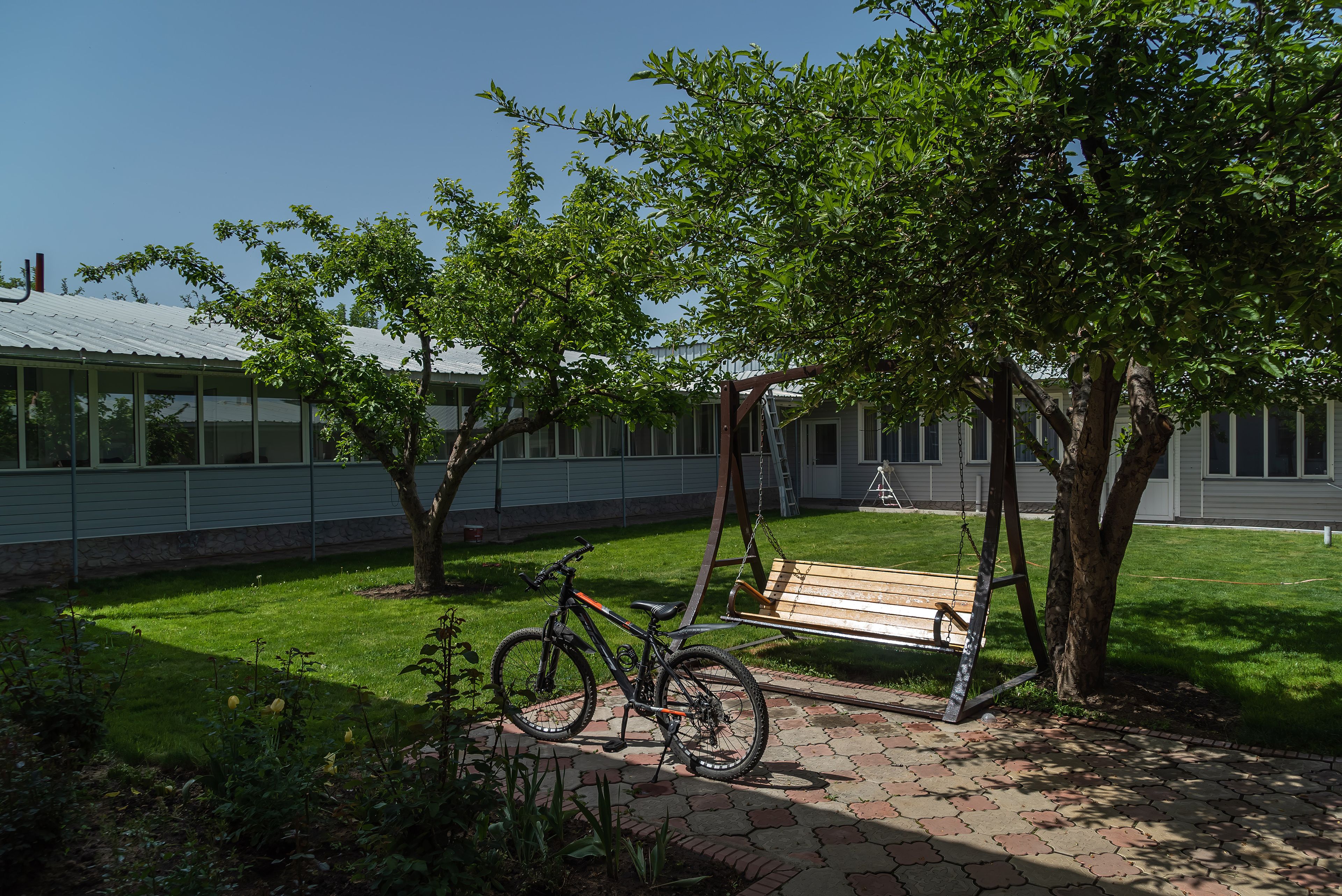 A paved walkway with a bicycle and a bench under trees.