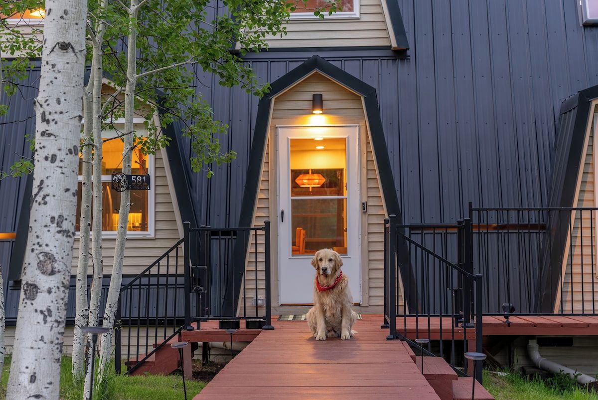 A dog sitting on a wooden walkway leading to a house with a dark exterior and a light-colored door.