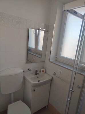 Un bany amb vàter, rentapel, mirall i plat de dutxa.