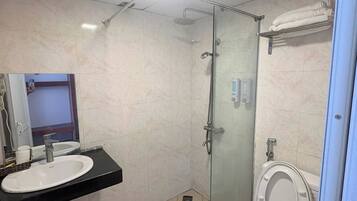 A bathroom with a glass-enclosed shower, a toilet, and a sink with a mirror above it.