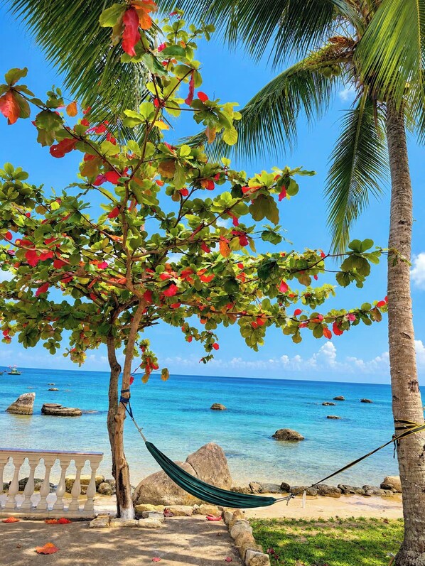 A hammock tied between two palm trees, a wooden bench, and a clear view of the ocean with rocks in the water.
