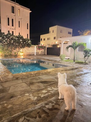 حمام سباحة