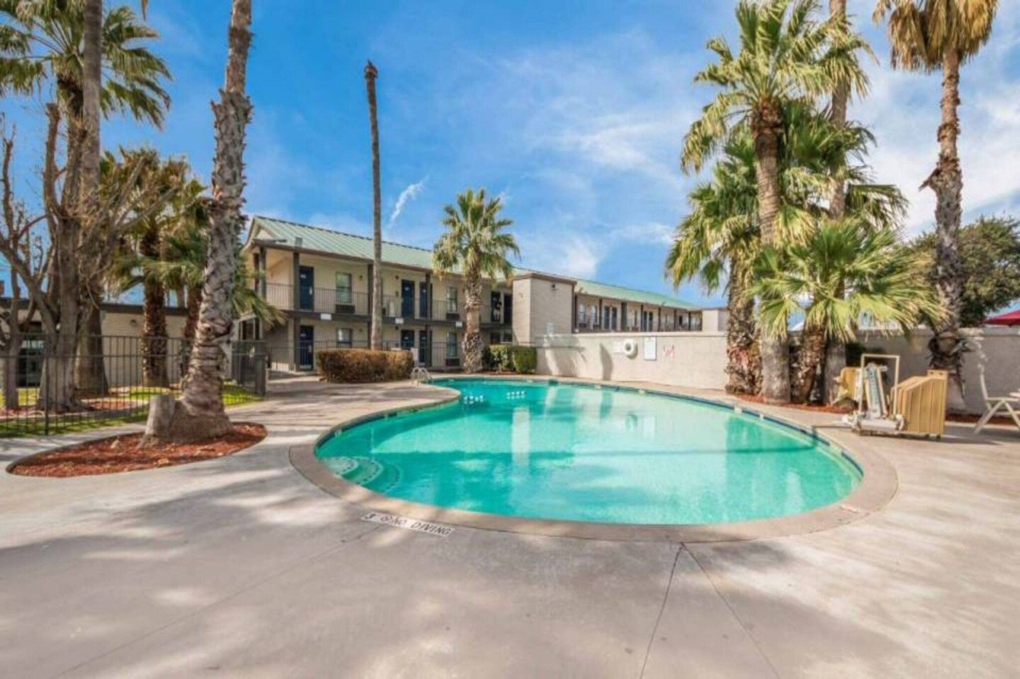 A swimming pool with a clear blue water surface, surrounded by palm trees and a building with a flat roof.