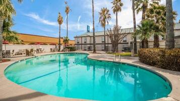 A swimming pool with a curved edge, surrounded by palm trees and a building with a flat roof.