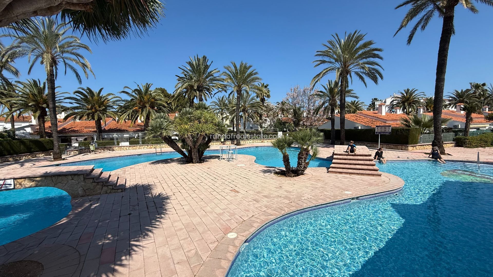 A swimming pool with clear blue water, surrounded by palm trees and a paved deck area.