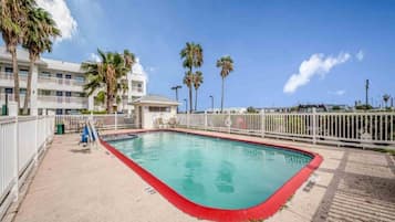 A swimming pool with a red edge, surrounded by a white fence, with palm trees and a building in the background.