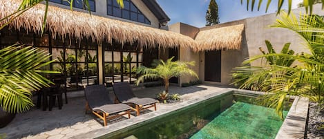 A pool area with a thatched roof, lounge chairs, and tropical plants.
