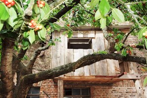 A rustic wooden structure with a window, surrounded by lush greenery and a tree with ripe fruit. - Blue holiday apartment (Michendorf)