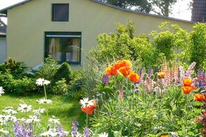 Ein Gebäude mit Fenster und Tür, umgeben von einem Garten mit verschiedenen Blumen und Sträuchern.