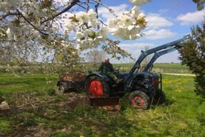 A tractor in a field with a person sitting on it. - Beautiful wooden cabin in a green meadow (Jabel)