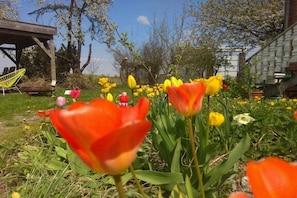 A garden with tulips and a wooden pergola. - Beautiful wooden cabin in a green meadow (Jabel)