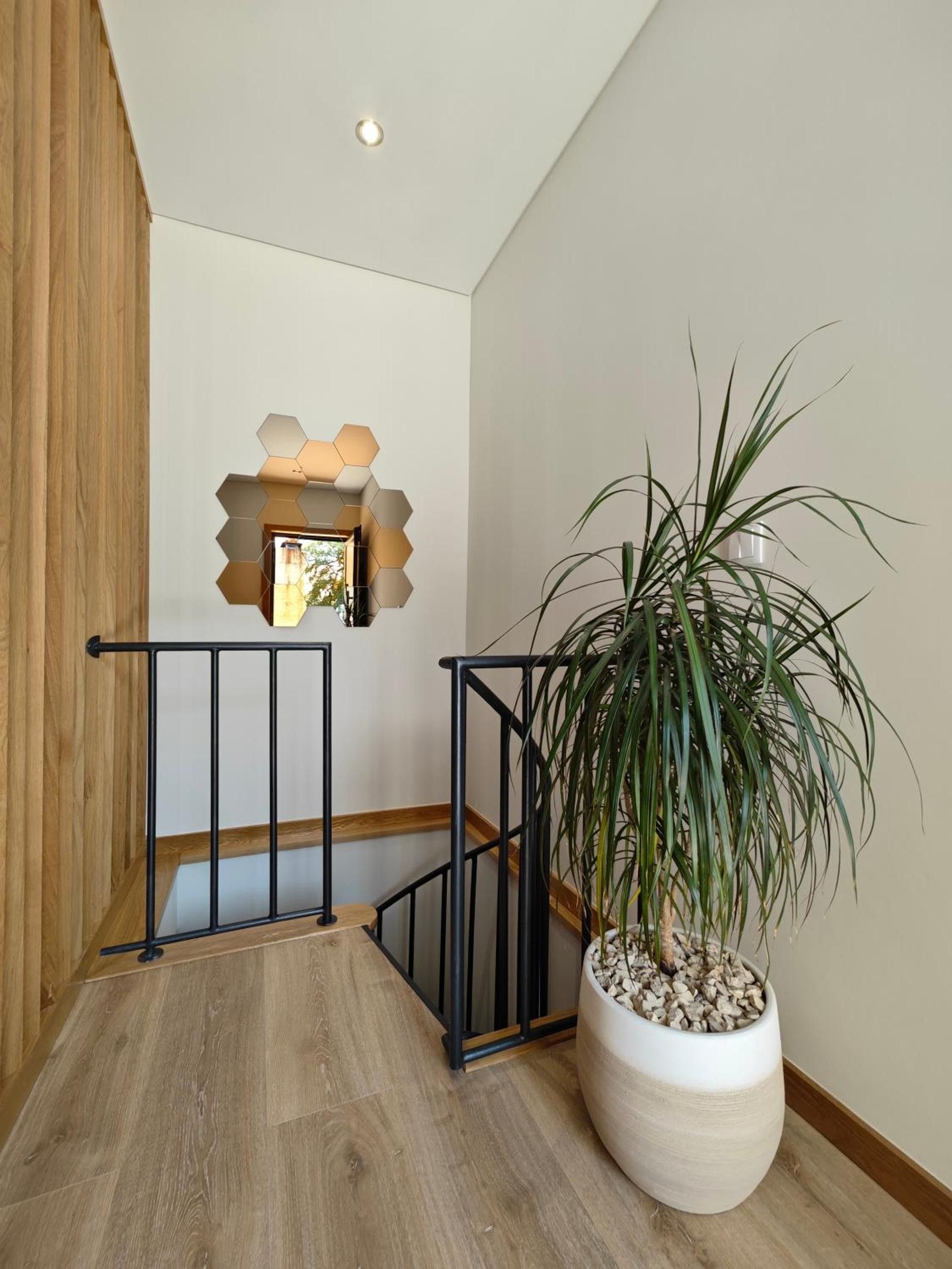 A wooden staircase with a black railing, a potted plant, and a wall-mounted light fixture.