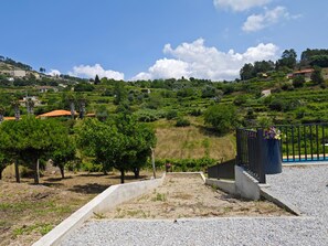 Paisaje de viñedo con zona pavimentada y barandilla.