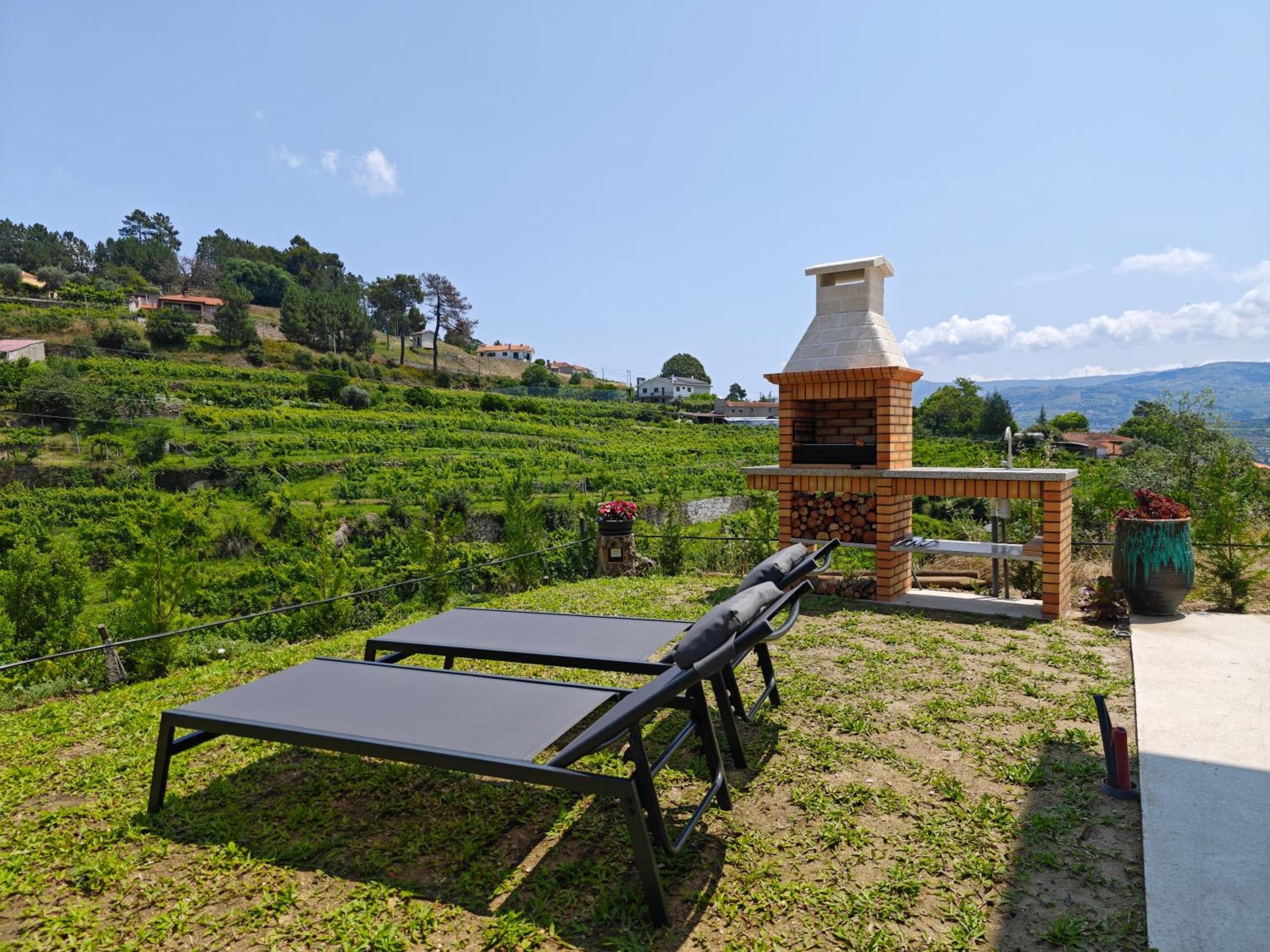 A vineyard with a brick oven and two lounge chairs.