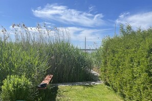 A pathway through a garden with tall grasses and a brick bench. - House on the lake shore (Waren)
