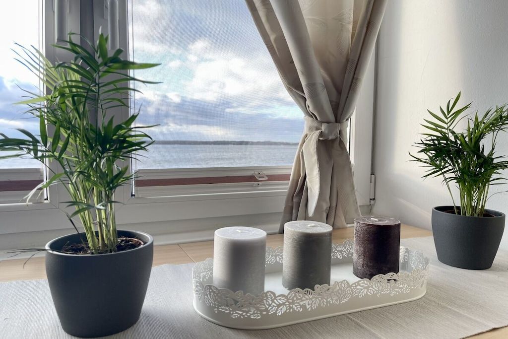 A room with a view of the sea, a potted plant, and a tray with candles.