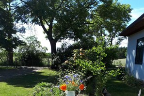 Ein Garten mit verschiedenen Pflanzen und ein weißes Haus mit einem Fenster.