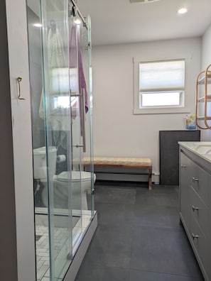 A bathroom with a glass shower enclosure, a toilet, a bench, and a vanity with a mirror.