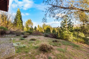 A natural landscape with a variety of trees and shrubs, a gravel path, and a building structure in the background. - Shaquinaw - Mountain views, Hot tub & Game Room! (South Lake Tahoe)