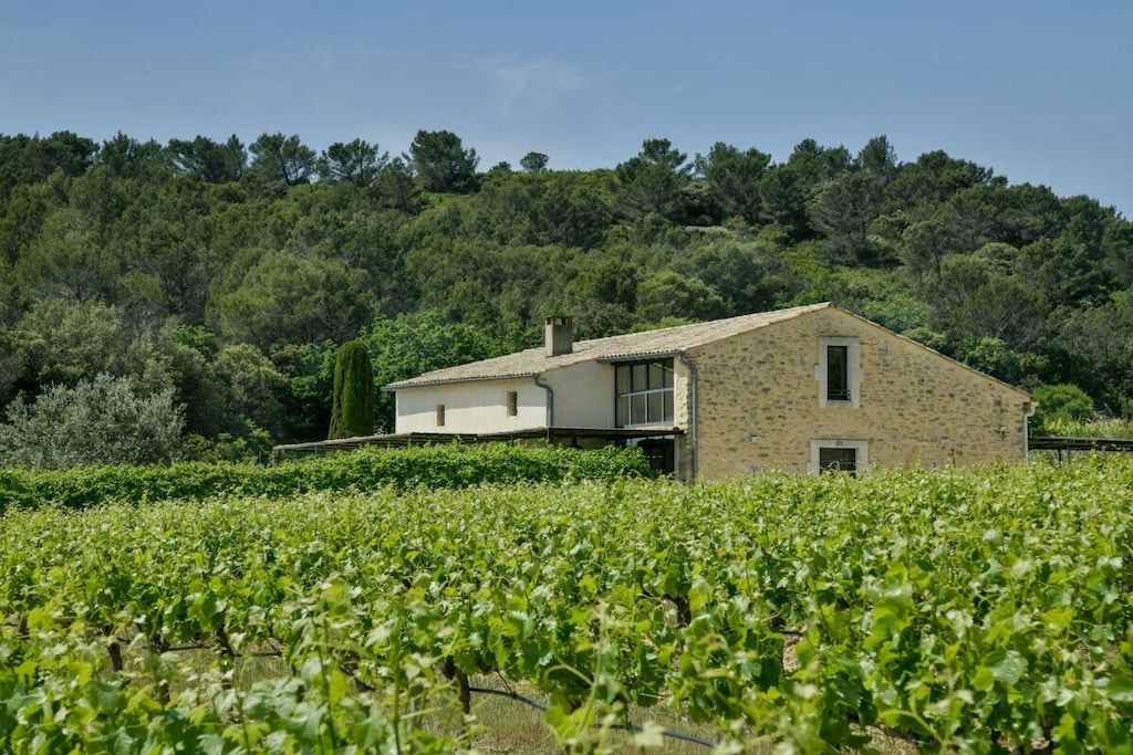 A stone building with a flat roof, surrounded by a vineyard.