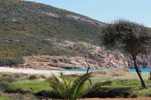 Un paysage côtier comprenant une plage, une colline à la végétation clairsemée et un ciel dégagé.