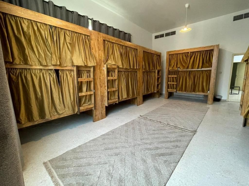 Una habitación con literas, piso alfombrado y cabecera de madera.
