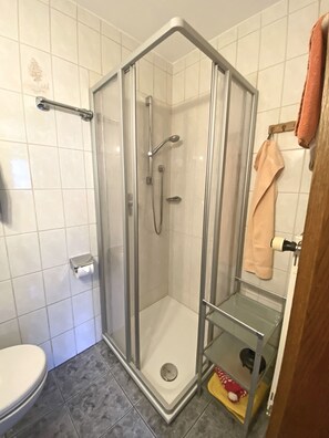 Eine Duschkabine mit Glastür, Toilette und Handtuchhalter.