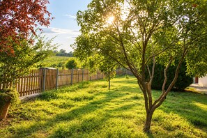 A grassy yard with a wooden fence and a tree. - Cetine Vecchie Farmstay – Il Giglio (Torrita di Siena)