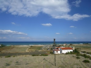 Altres