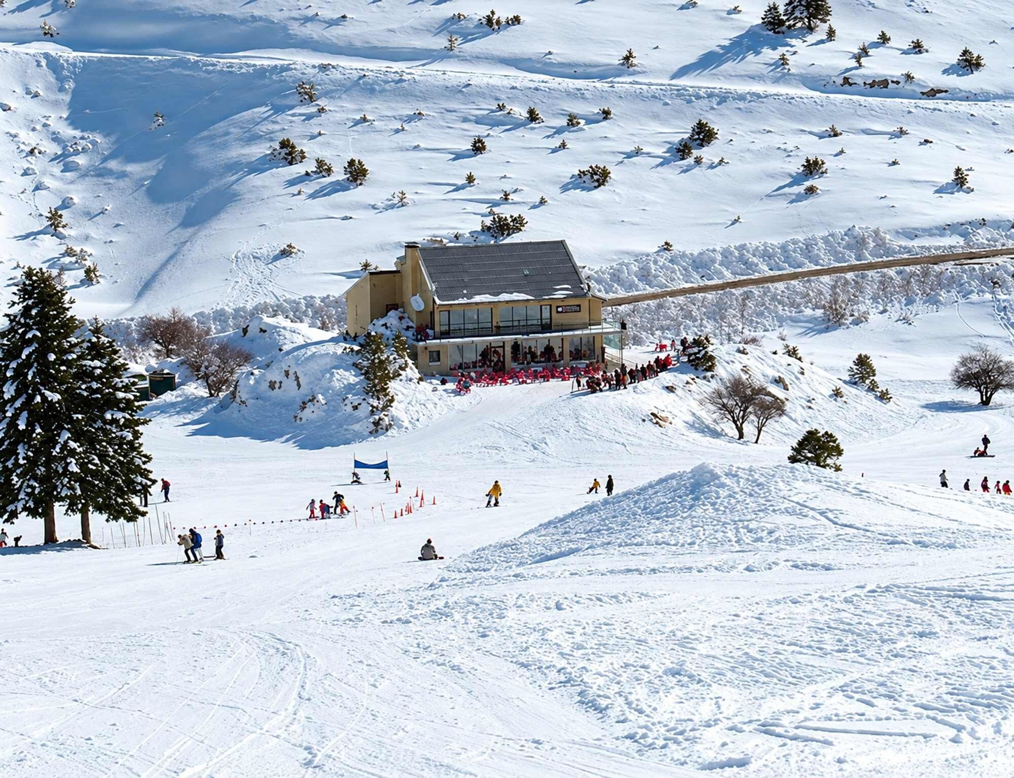 Snø- og skisport