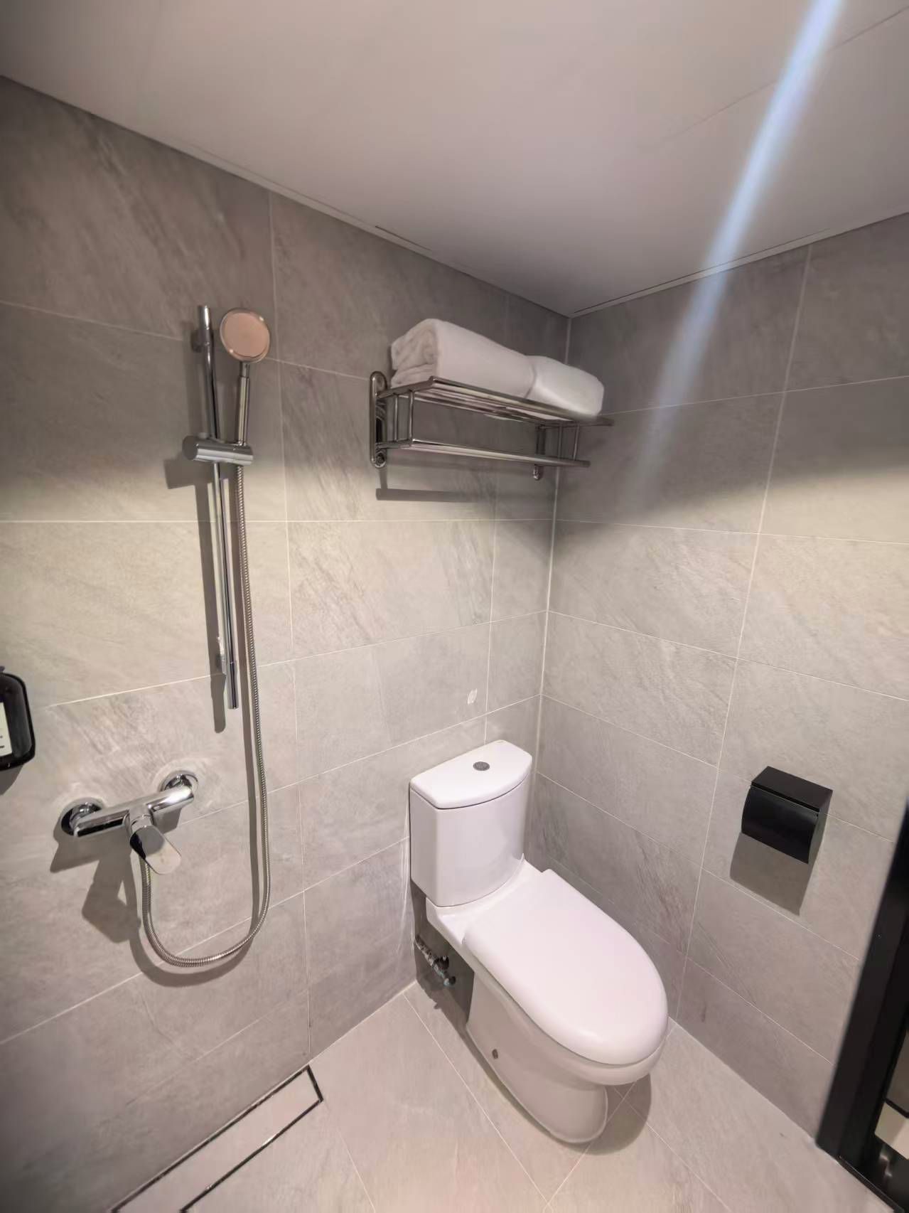 A modern bathroom with a toilet, a shower, and a towel rack.