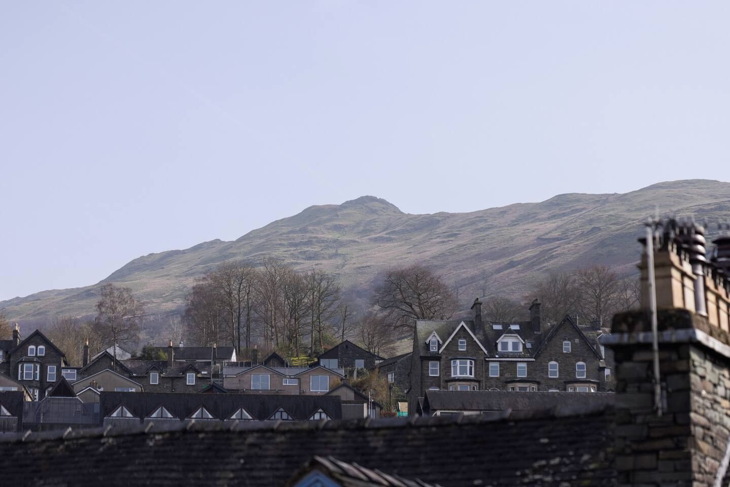 A residential area with houses and a mountain in the background.
