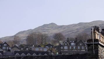 A residential area with houses and a mountain in the background.