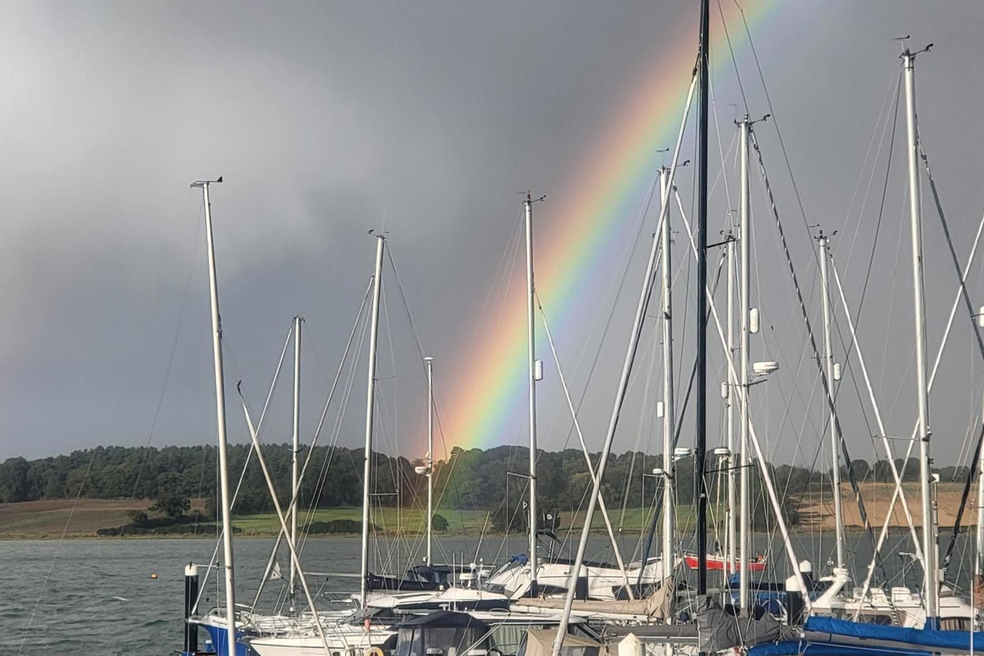 A marina with multiple sailboats docked, a rainbow in the sky, and a forested landscape in the background.
