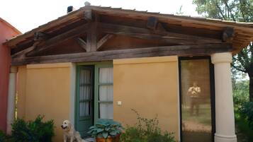 Ein Haus mit einer Holzveranda, einer grünen Tür und einem draußen sitzenden Hund.