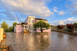 Una casa con patio empedrado, un árbol grande y cielo despejado.