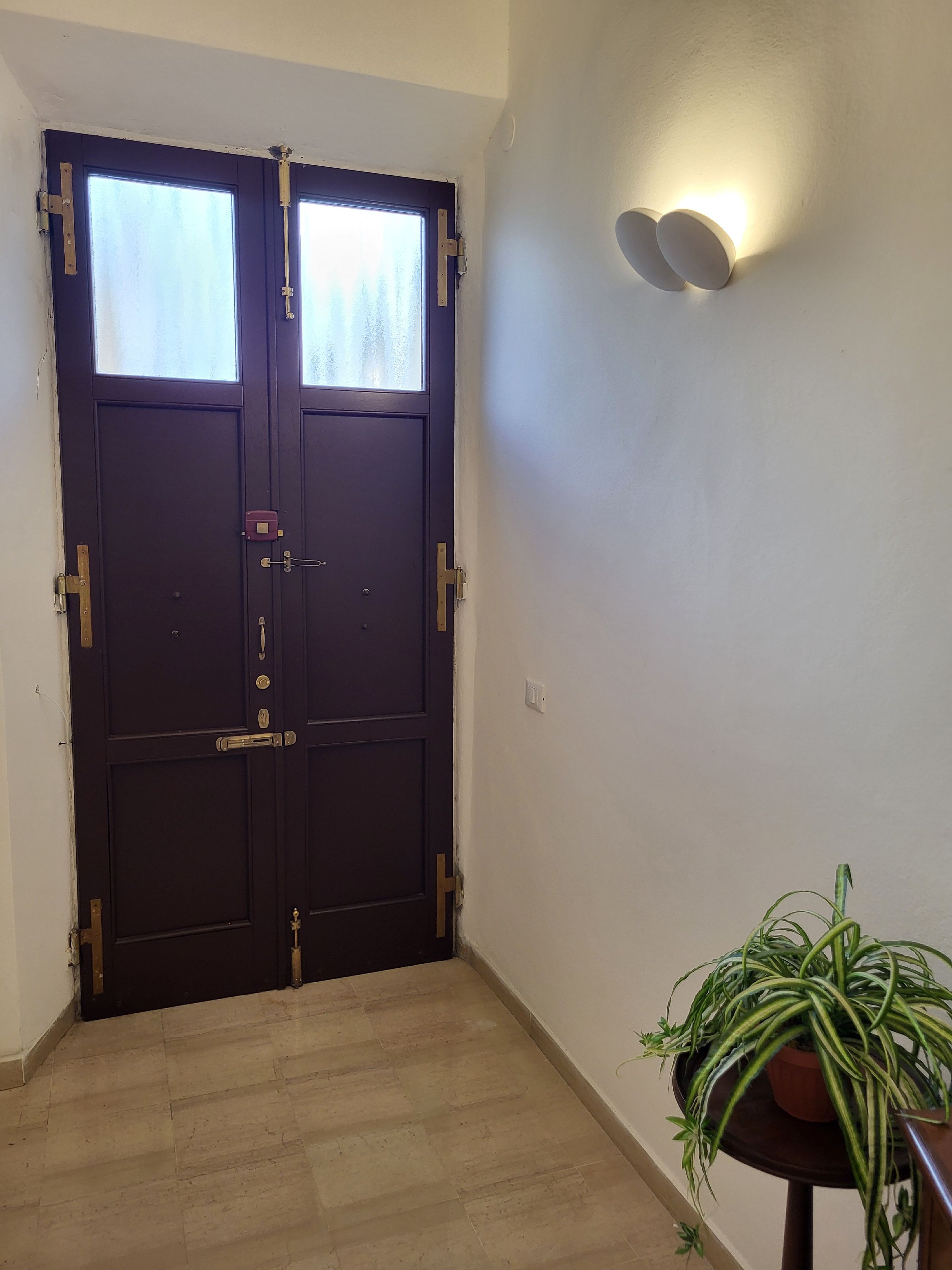 A dark wooden door with a window, a wall-mounted light fixture, and a potted plant on a small table.