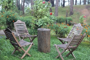 Duas cadeiras de madeira ao redor de um toco central, cercado por vegetação e flores laranjas.