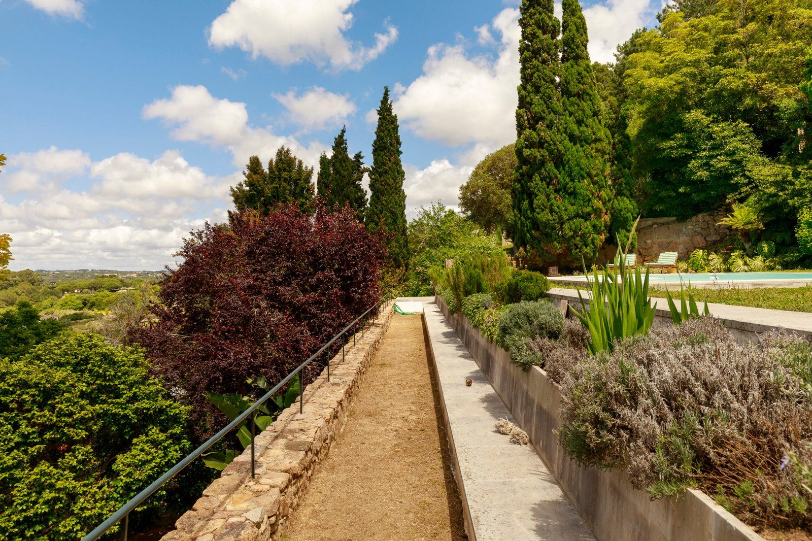 A pathway flanked by various plants and trees, leading towards a pool area.