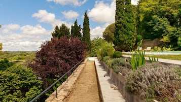 A pathway flanked by various plants and trees, leading towards a pool area.