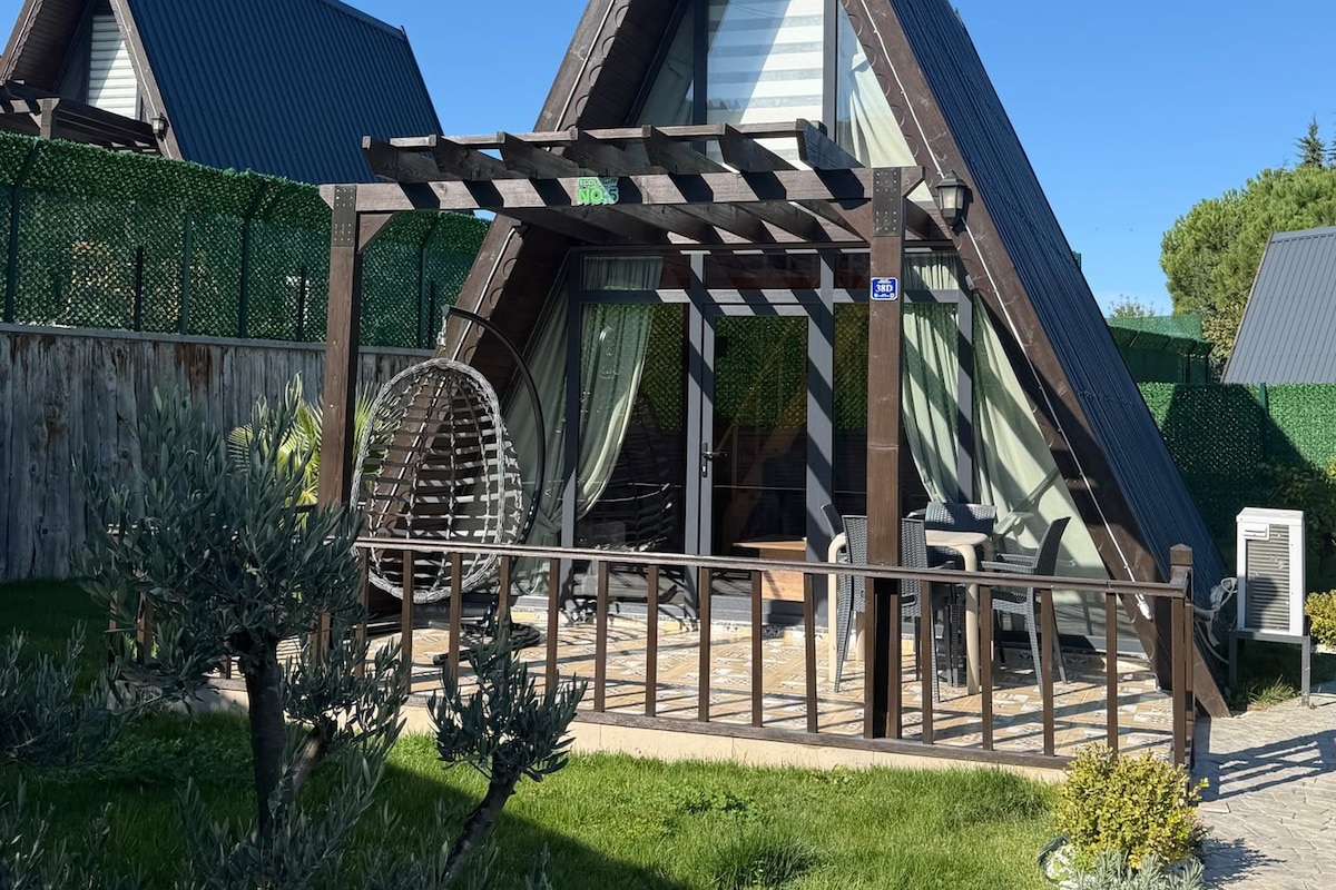 Ein modernes Haus mit einem dreieckigen Dach, einer Holz-Pergola und einem Garten mit verschiedenen Pflanzen.