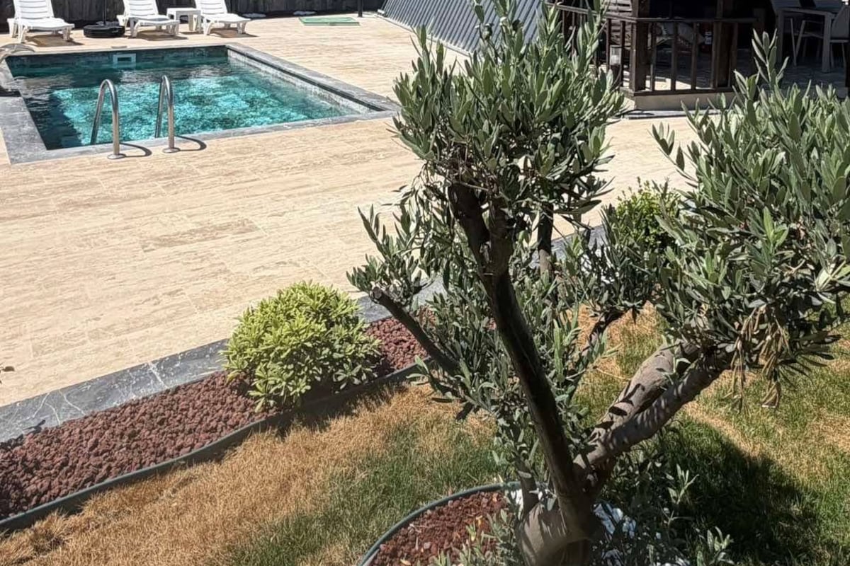 Ein Garten mit Schwimmbad, Liegestühlen, einer Pergola und einem eingezäunten Bereich.