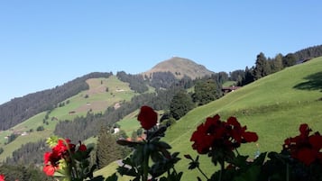 Paisatge amb un turó, camps verds i flors vermelles al primer pla.