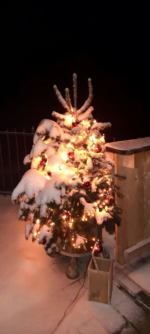 A snow-covered Christmas tree with lights and ornaments, placed outdoors on a snowy surface.