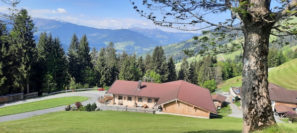 A wooden chalet with a red roof, surrounded by lush greenery and mountains in the background. - Room 'Bergpension Ebental Zimmer 4' with Mountain View, Shared Terrace and Wi-Fi (Brixen im Thale)